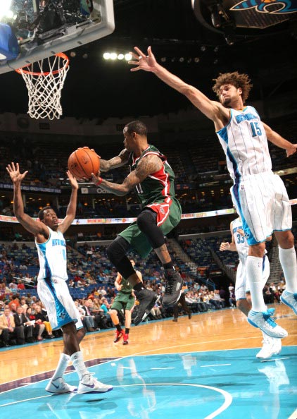 灰熊在面对 灰熊在面对