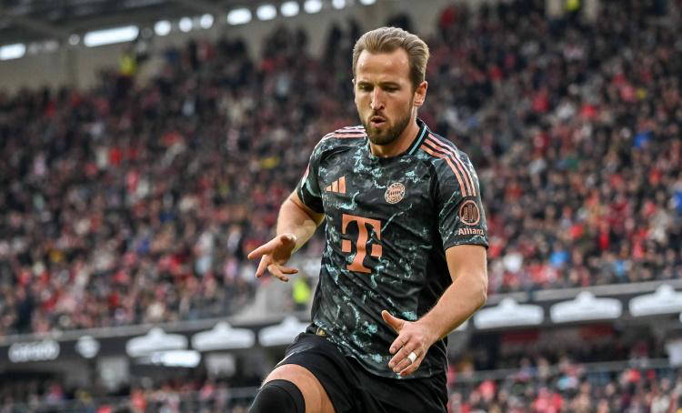 进行国际友 进行国际友