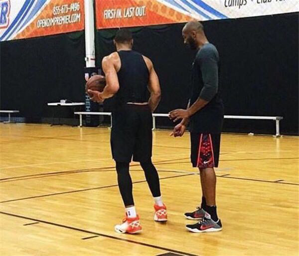 乌加特需要 乌加特需要